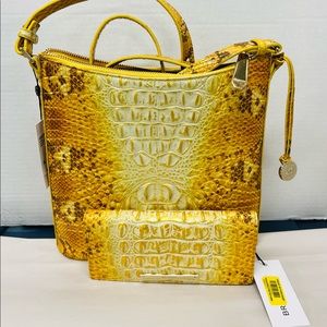 NWTS Beautiful Brahmin Katie crossbody and matching Ady wallet..